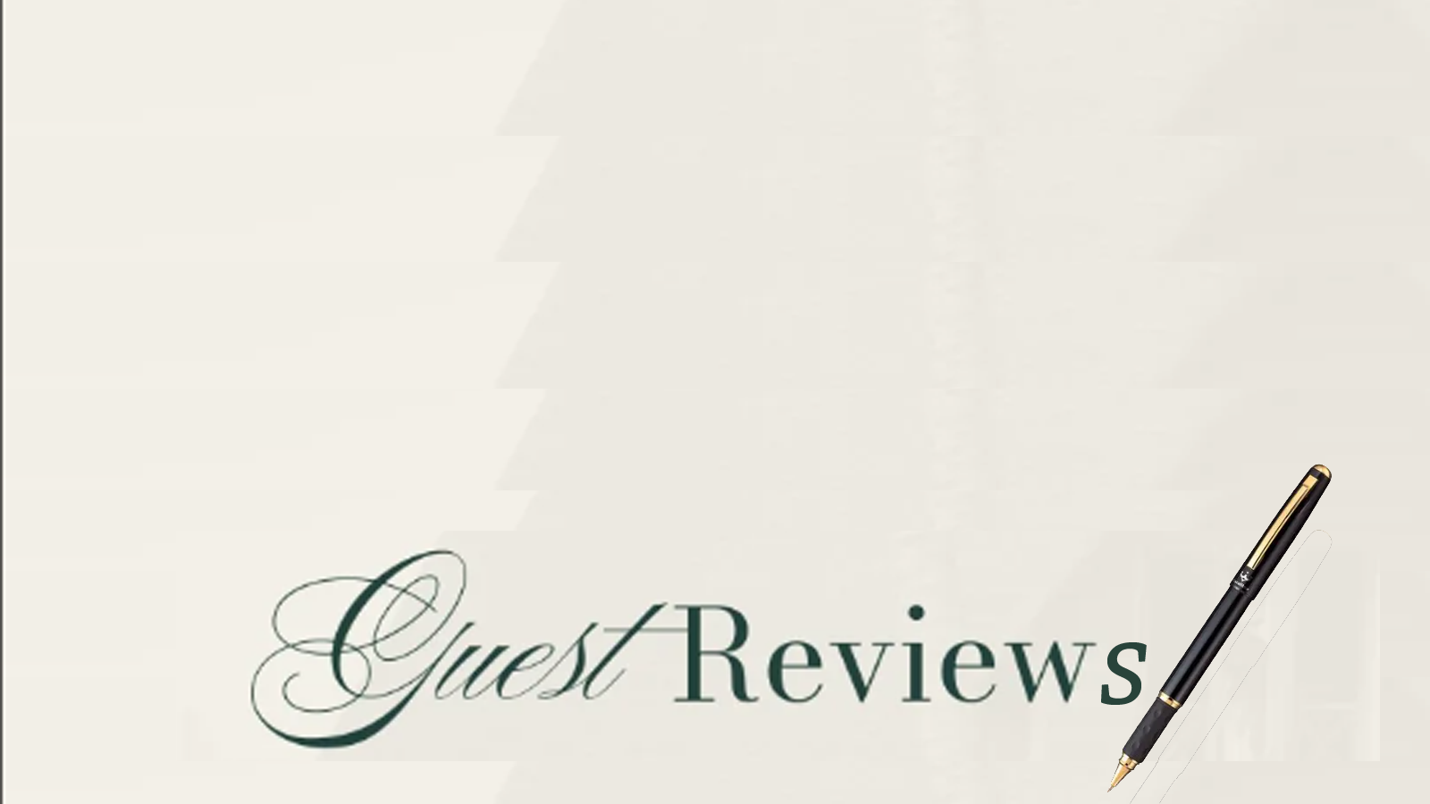 Guest Reviews